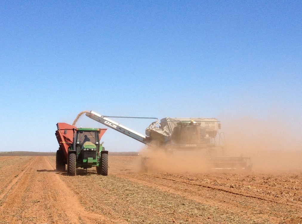 Food Narratives: Telling Food’s&nbsp;Story